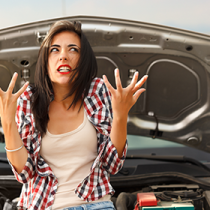 Lemon Law Lemon Law